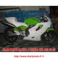 Carénage piste CharlyMoto Racing HONDA CBR 600 99-00