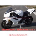 Carénage piste CharlyMoto Racing TRIUMPH DAYTONA 675 06-10