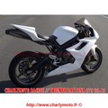 Carénage piste CharlyMoto Racing TRIUMPH DAYTONA 675 06-10