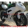 Carénage poly piste CharlyMoto Racing KAWASAKI ZX-6R 09/10 (02 parties avant)