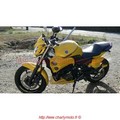 JMV CONCEPT YAMAHA XJ6 2009