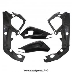 Pack protections de cadre et bras oscillant Carbone BMW S1000RR 12-14 / HP4 13-15