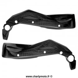 Protections de cadre Carbone APRILIA RSV1000 04-09