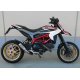 Silencieux SPARK DUCATI HYPERMOTARD 821 13-15 (MOTOGP)