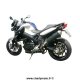 Silencieux SPARK BMW F800 R 09-16