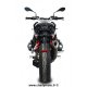 Silencieux SPARK BMW R1200 R - RS 15-16