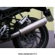 Silencieux SPARK BMW R1200 R 11-14