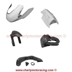 Carenage piste SEBIMOTO HONDA RS 125 02