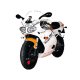 Carénage MOTOFORZA TRIUMPH DAYTONA T595 - 955i 96-01 (Sabot Route)