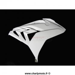 Carénage MOTOFORZA BMW S1000RR 15-18 (Flanc Droit)