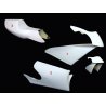 Carénage MOTOFORZA HONDA RS 125 96-97 (Pack Racing)