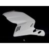 Carénage MOTOFORZA DUCATI 750 SS 98-03 / 900 SS 98-03 (Flanc Gauche Racing)