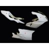 Carénage MOTOFORZA APRILIA RSV 1000 04-09 (Pack Racing)
