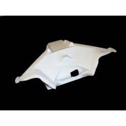 Carénage MOTOFORZA DUCATI 899 PANIGALE 13-15 / 1199 PANIGALE 12-14 (Support entrées d'air)