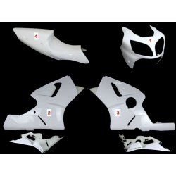 Carénage MOTOFORZA KAWASAKI ZX-12R 00-01 (Pack Route)