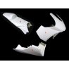 Carénage MOTOFORZA KAWASAKI ER-6 06-11 (Pack Racing- SUPERTWIN-2)