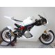 Carénage MOTOFORZA KAWASAKI ER-6 06-11 (Pack Racing- SUPERTWIN-2)