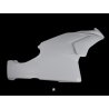 Carénage MOTOFORZA DUCATI 749 03-04 / 999 03-04 (Flanc Droit origine)
