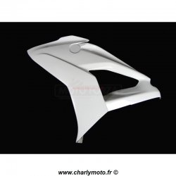 Carénage MOTOFORZA BMW S1000RR 15-18 (Flanc Gauche)