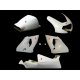 Carénage MOTOFORZA APRILIA RSV 1000 01-03 (Pack Route)