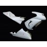 Carénage MOTOFORZA KAWASAKI ZX-10R 06-07 (Pack Racing)