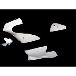 Carénage MOTOFORZA APRILIA RSW 125 GP 06- (Pack Racing)