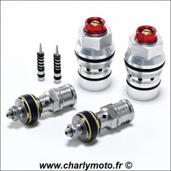 Kit pistons K-TECH SSK HONDA CB1000R 08-17 (Showa)