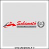 Carenage SEBIMOTO Selle racing TRIUMPH 675 DAYTONA 09-12 (Carbone-Kevlar NOIR)