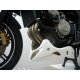 Carénage MOTOFORZA HONDA CB600F HORNET 98-06 / CB900F HORNET 02-07 / CBF600-1000 (Sabot)