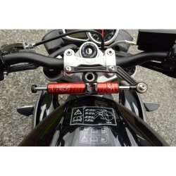 Platines repose pieds arrière GSG - SpeedTriple 1050 - Triumph