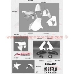 Carenage piste SEBIMOTO KAWASAKI ZX 9 R 00-01