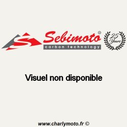 Carénage SEBIMOTO APRILIA RSV 1000 01-03 (Cache selle droit)