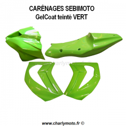 Carénage SEBIMOTO HONDA RS 250 08- (Sabot Racing)
