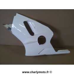 Carénage SEBIMOTO KAWASAKI ZX-12R 00-01 (Flanc gauche)