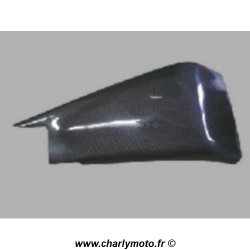 Protection de bras oscillant droit SEBIMOTO HONDA CBR 600 RR 05-06 (Carbone)