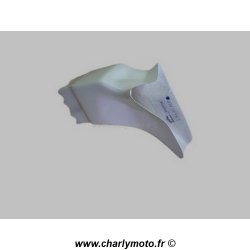 Carénage SEBIMOTO BMW S1000RR 09-14 (Prise d'air centrale - Carbone)