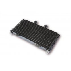 Radiateur SUZUKI GSF 1200 BANDIT 01-05 (HUILE)