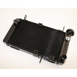 Radiateur SUZUKI SV 650 N-S 99-02 (EAU)