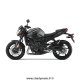 Grip de réservoir STOMPGRIP YAMAHA FZ8 10-16