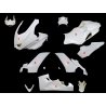 Carénage MOTOFORZA YAMAHA YZF-R6 17-20 (Pack Racing)