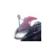 Bulle SECDEM KAWASAKI Z1000 SX 11-16 (Double courbure)