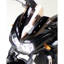 Bulle SECDEM KAWASAKI Z750 Stunt 05-06 (Standard)