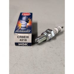 Bougie NGK Iridium HONDA CBR125 R 03-16 (CR8EIX) (NGK 4218)