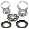 Kit roulements de colonne de direction ALL BALLS - TRIUMPH THUNDERBIRD 1995-2004