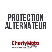 Protection alternateur