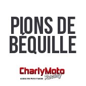 Pions de béquille