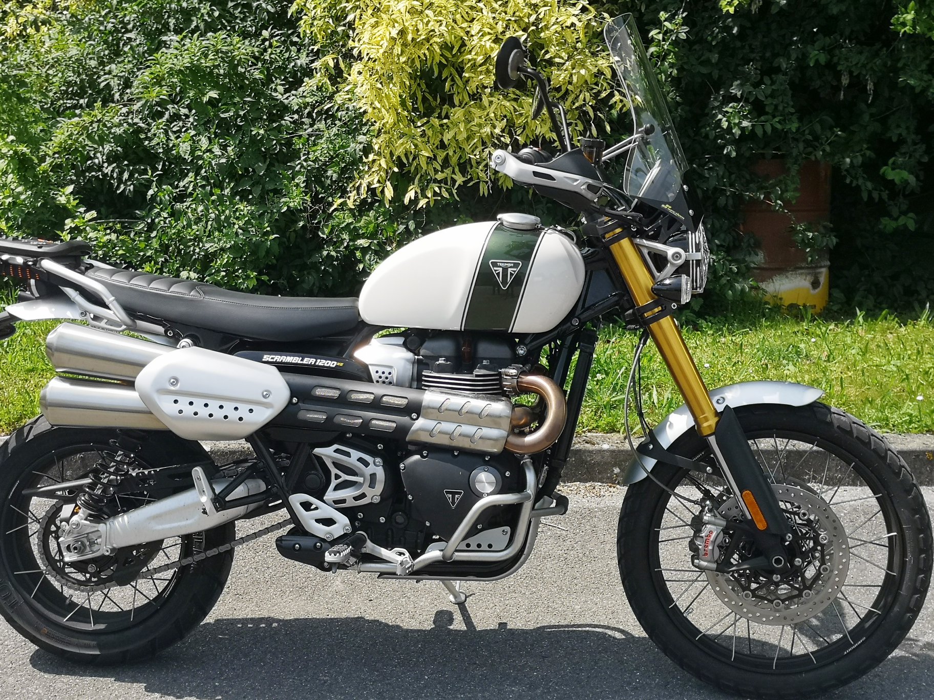 BULLE HAUTE PROTECTION SECDEM - TRIUMPH 1200 SCRAMBLER XC - XE 18-19